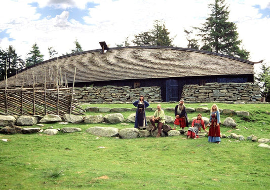 The Viking Age: Life, Beliefs, and Society